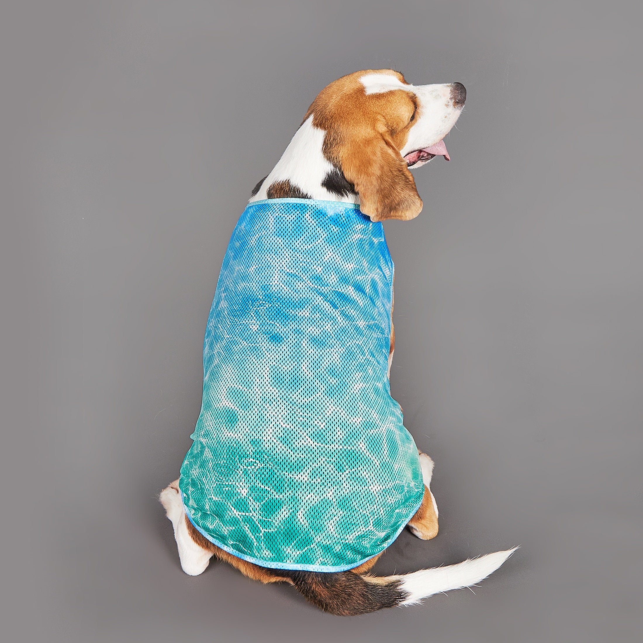 Pet Cooling Sports Shirt - Quick-Dry Mesh Vest for Dogs & Cats