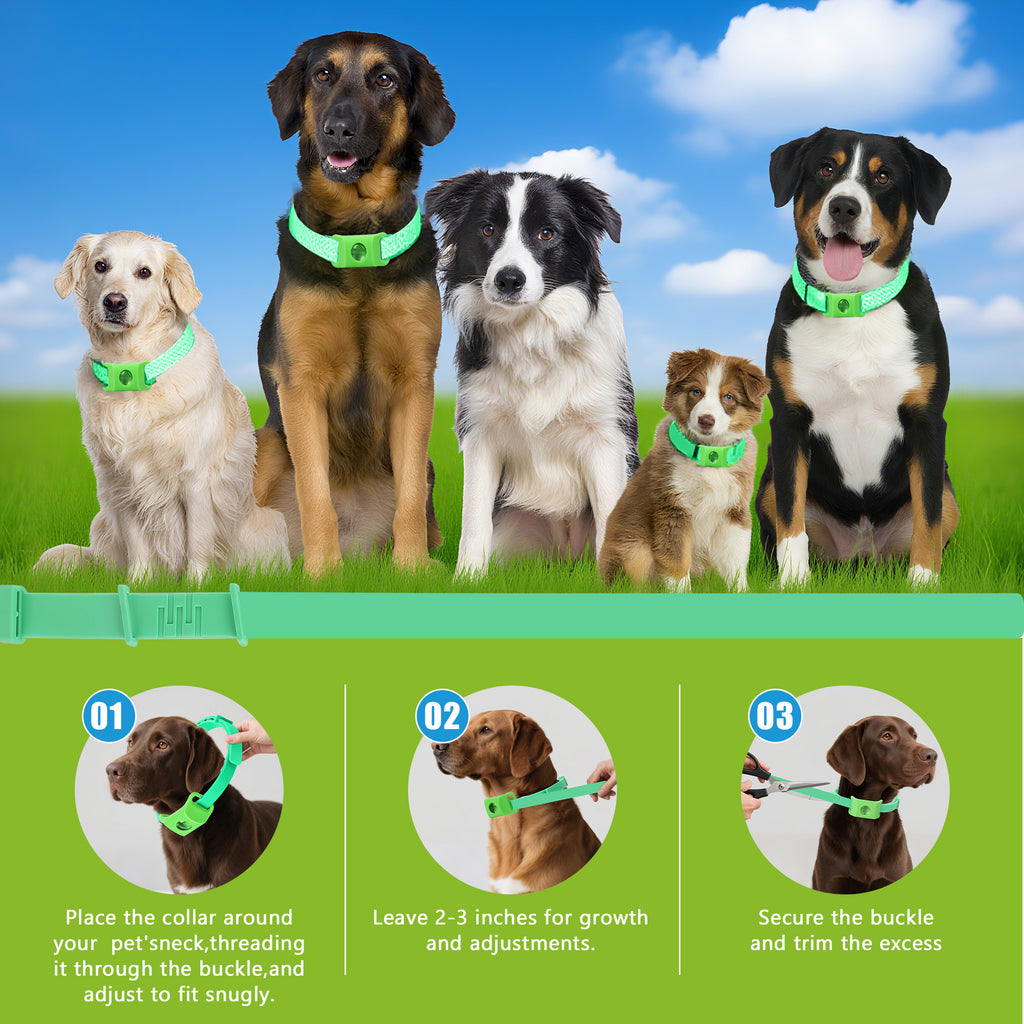 Natural Flea & Tick Prevention Dog Tag — Waterproof with Refills