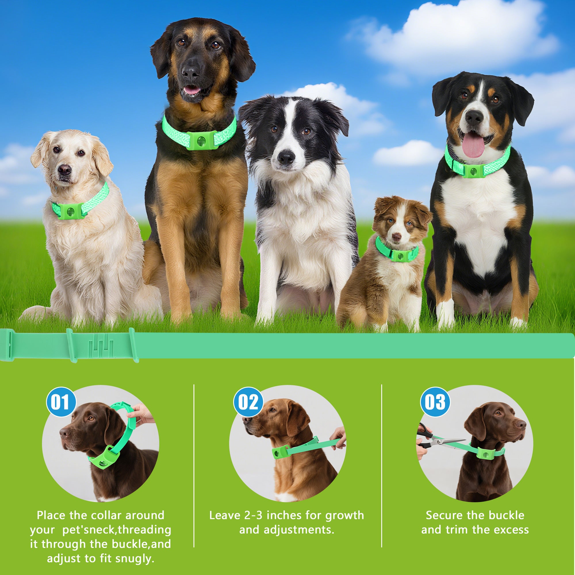 Natural Flea & Tick Prevention Dog Tag — Waterproof with Refills
