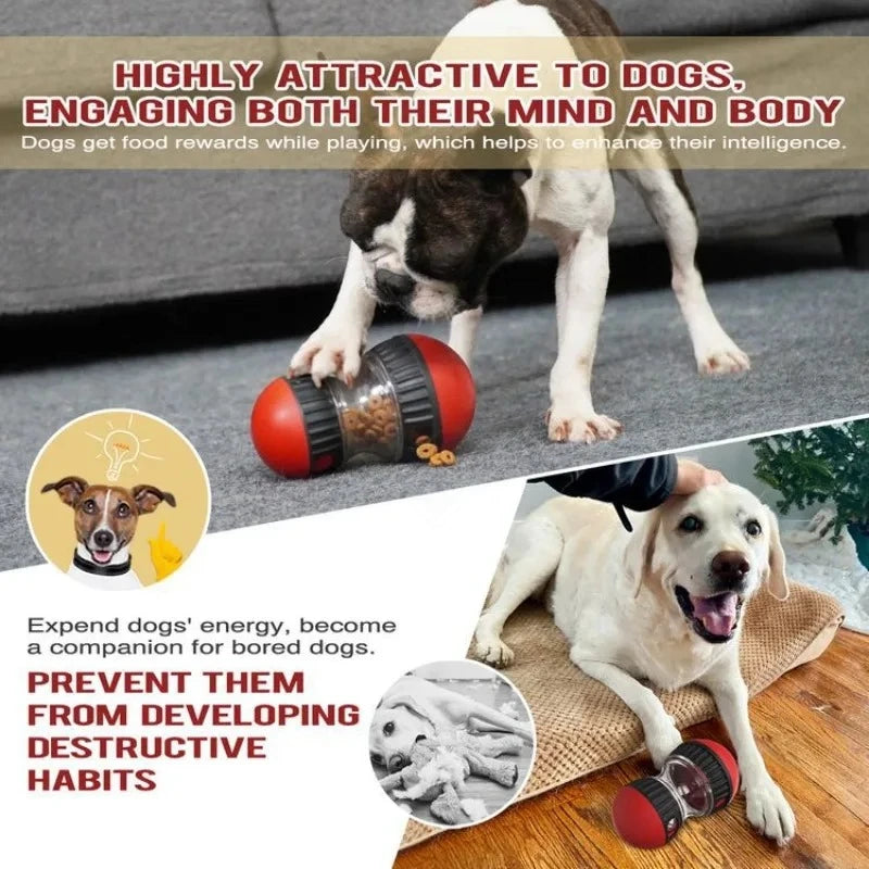 Dog Puzzle Ball - Treat Dispensing Slow Feeder & Interactive Chase Toy for Dogs